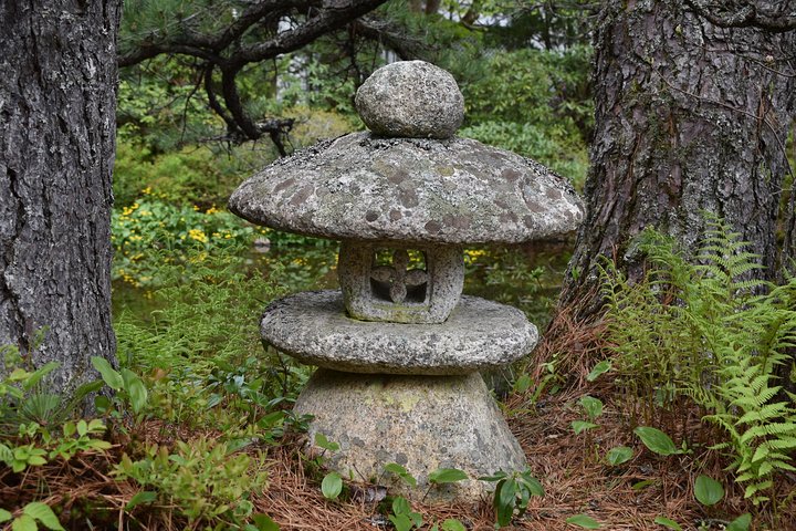 Privétour van 4 uur door Acadia Cadillac Mountain & Somes Sound Fiord
