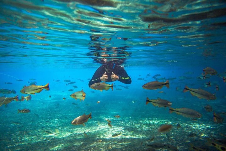 Ohne Anstehen: Recanto Ecologico Rio da Prata Ticket inklusive Trail & Schnorcheln