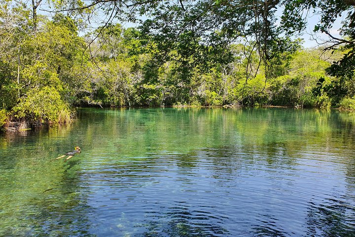 Ohne Anstehen: Recanto Ecologico Rio da Prata Ticket inklusive Trail & Schnorcheln