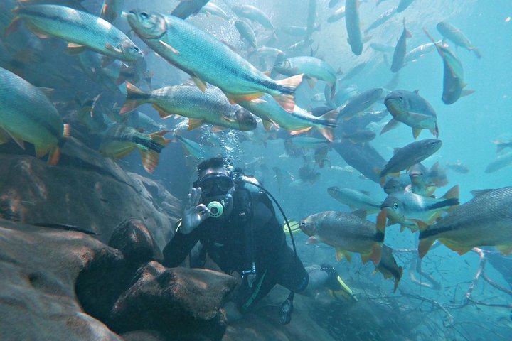 Ohne Anstehen: Recanto Ecologico Rio da Prata Ticket inklusive Trail & Schnorcheln