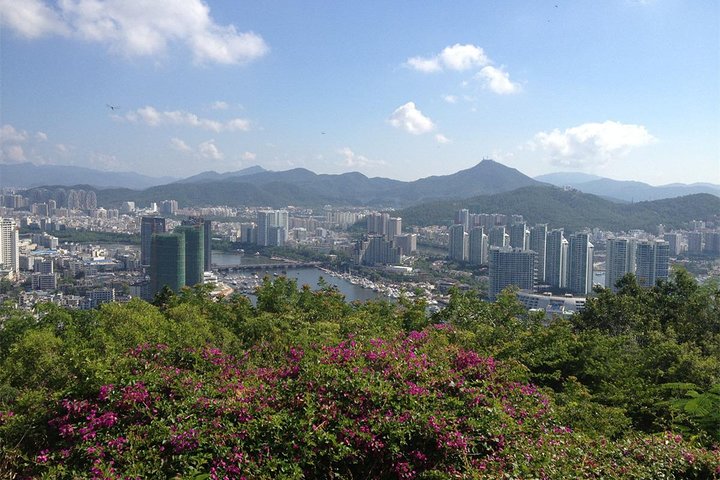 Excursion à terre à Sanya: visite du parc Sanya Luhuitou et du marché d'épicerie local