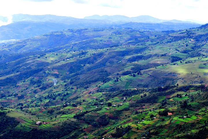 Dagtur til Heha Mount Hiking - Traditionelle huse - Kvæg i traditionelle Burundi