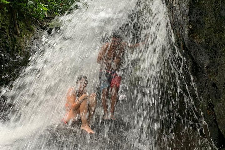 FORFAIT TOUR (trekking dans la jungle, taxi, chambre) 4 JOURS 3 NUITS à BUKIT LAWANG