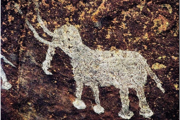 Tour Privado de Dia Inteiro de Bhopal a Bhojpur e Bhimbetka