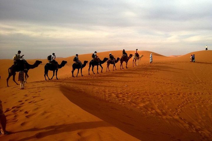 Dubaï Soirée4x4Desert Safari, barbecue dîner, danse du ventre, promenade à dos de chameau