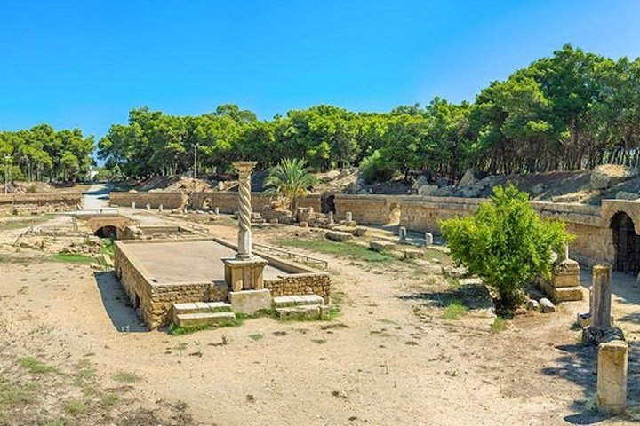 Vanuit Hammamet of Tunis: Carthago, Bardo, Sidi Bou zei en Medina