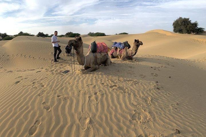 Desert Camel Safari & Jeep Safari Tour fra Jodhpur