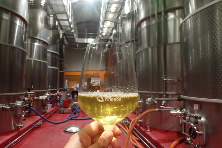 Visita y degustación de vinos con embutido y queso BODEGA PIRINEOS