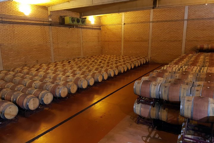 Visita y degustación de vinos con embutido y queso BODEGA PIRINEOS