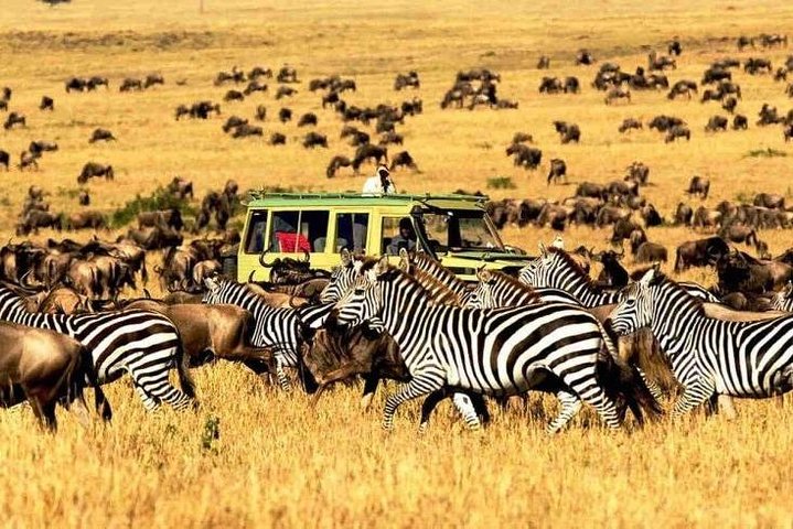 11 giorni: Tanzania e Safari in Ruanda (grande migrazione e mongolfiera)