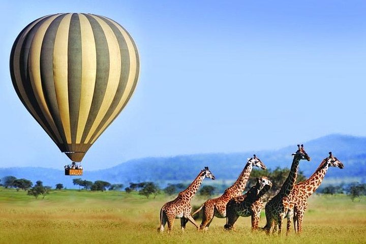 11 giorni: Tanzania e Safari in Ruanda (grande migrazione e mongolfiera)