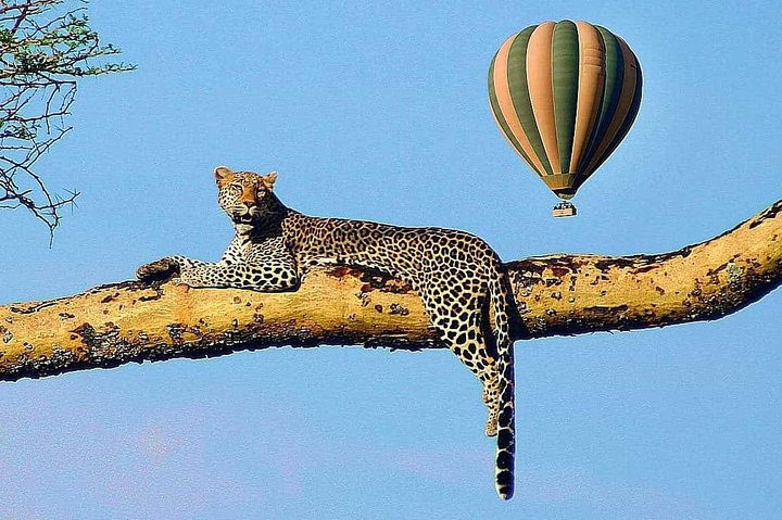 11 giorni: Tanzania e Safari in Ruanda (grande migrazione e mongolfiera)