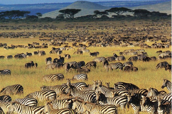 11 giorni: Tanzania e Safari in Ruanda (grande migrazione e mongolfiera)