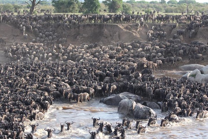 11 giorni: Tanzania e Safari in Ruanda (grande migrazione e mongolfiera)