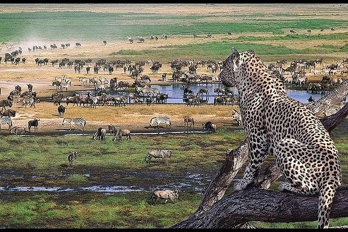 11 giorni: Tanzania e Safari in Ruanda (grande migrazione e mongolfiera)