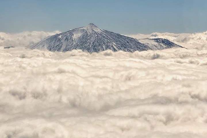 Teide Halvdagstur med buss gjennom nasjonalparken