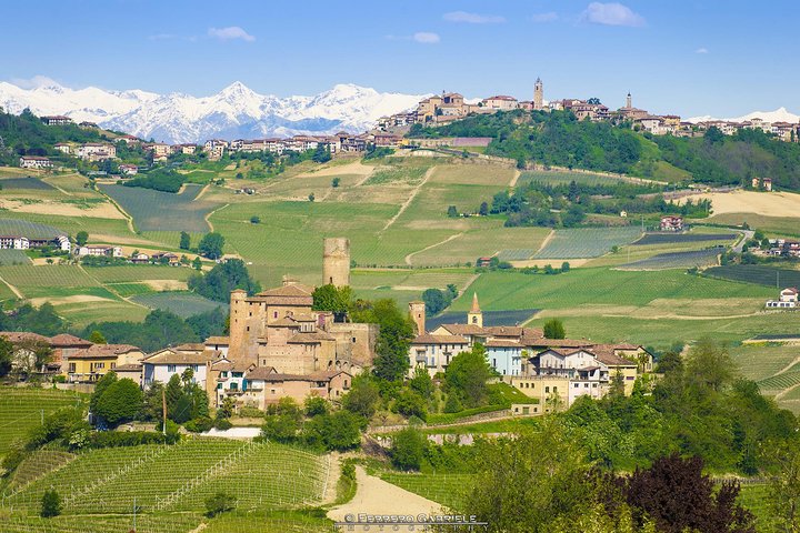 Barolo & Barbaresco-wijntour met een wijnmaker