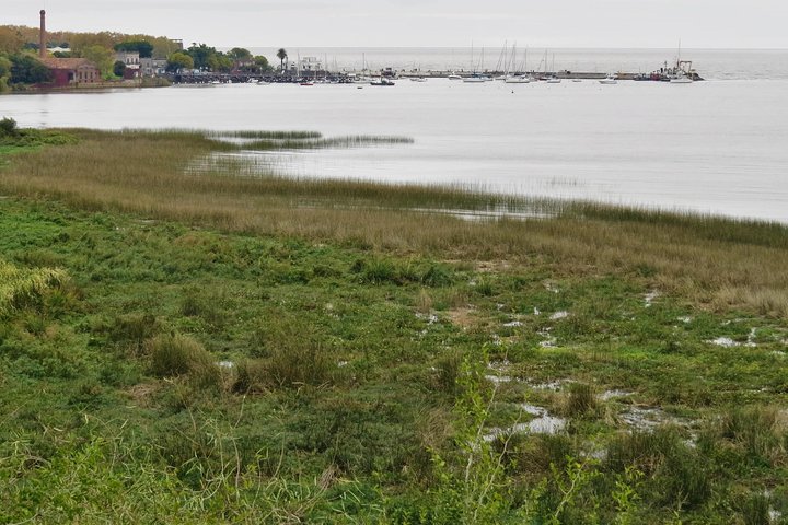 Heldags Fuglekigning og Naturture