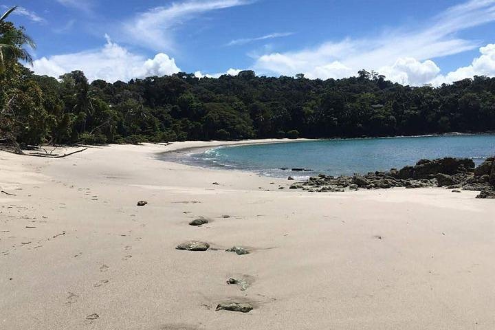 Manuel Antonio National Park : Guidad tur med biljett ingår