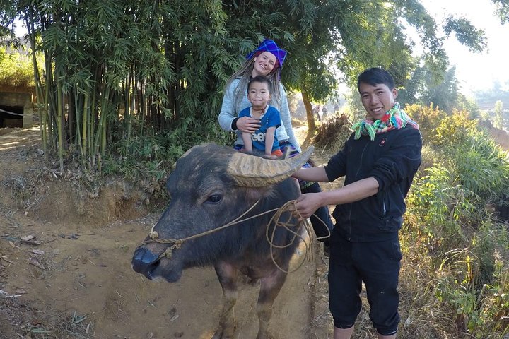 Halbtägige private Trekking Mu Cang Chai_Morgen oder Nachmittag
