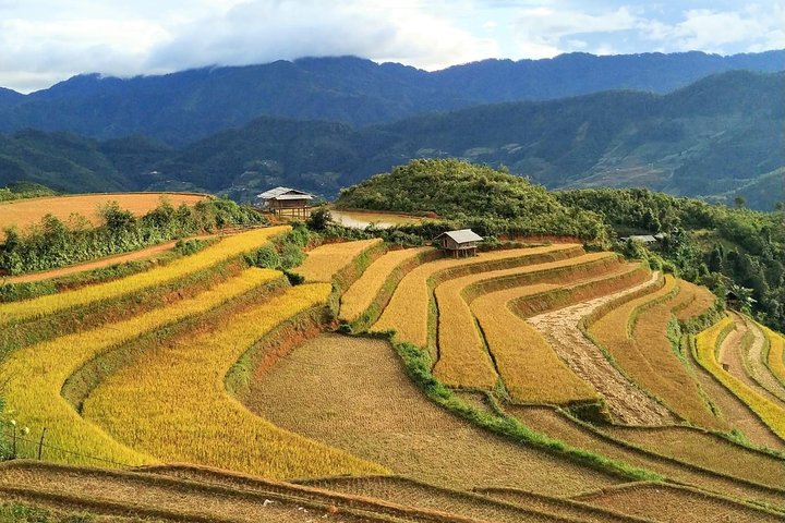 Halbtägige private Trekking Mu Cang Chai_Morgen oder Nachmittag