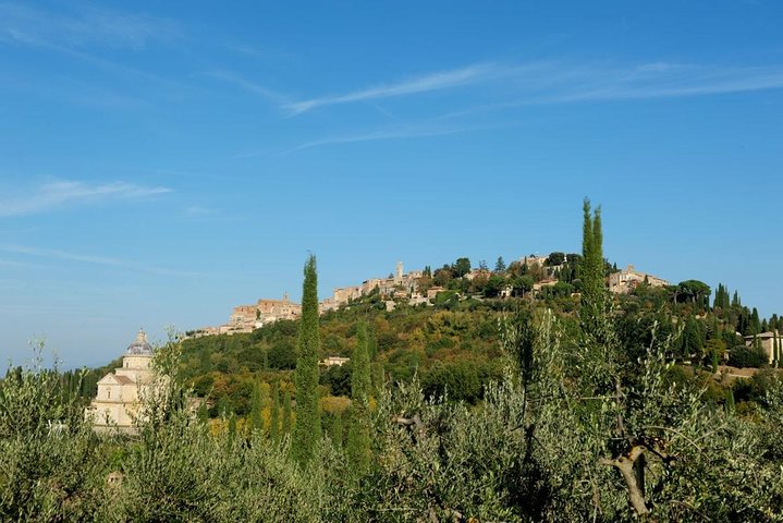 Montepulciano : Tour por la Granja Cinta Senese, Degustación de alimentos & vinos