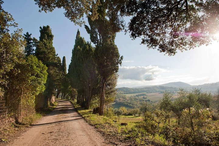 Montepulciano : Tour por la Granja Cinta Senese, Degustación de alimentos & vinos