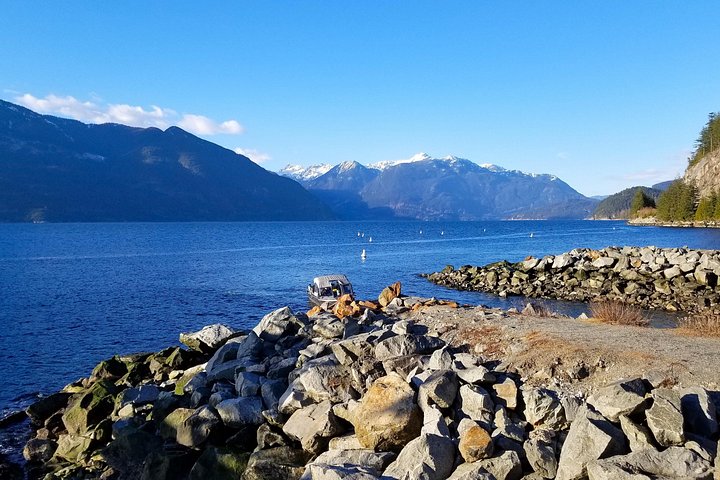 Vancouver till Whistler-turné - Endast hotell i centrala hotell