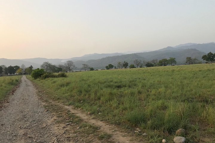 La mejor experiencia de desierto a través de Jim Corbett Experience
