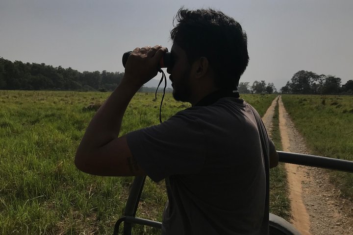 La mejor experiencia de desierto a través de Jim Corbett Experience