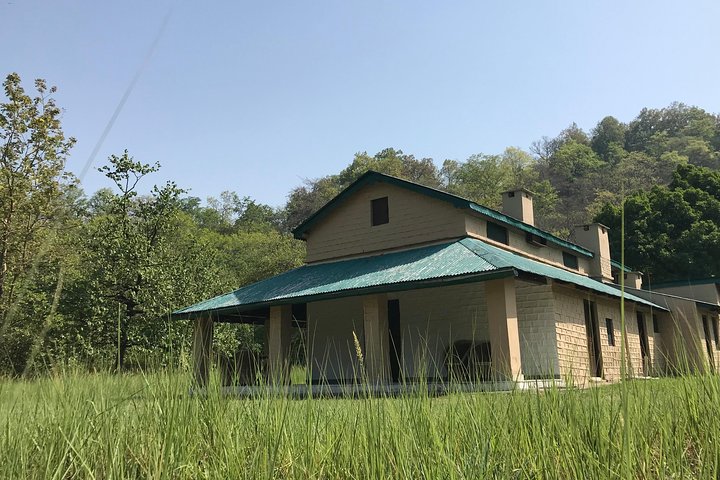 La mejor experiencia de desierto a través de Jim Corbett Experience