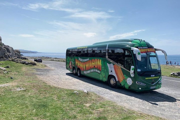 Tour di un giorno delle scogliere di Moher da Limerick: Wild Atlantic Way