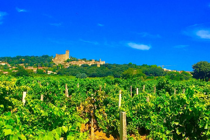 Excursión de medio día al Provenza del Gard du Gard y degustación de vinos desde Aviñón