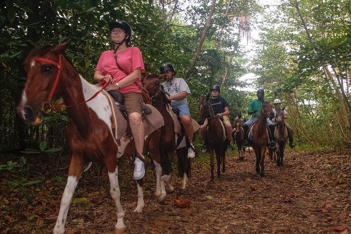 Nature & Historical Horseback Riding Tours St. Lucia