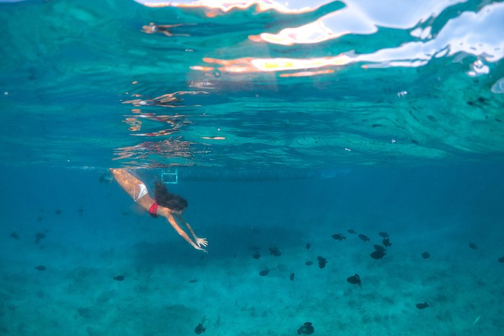 Ochtendcruise van een halve dag vanuit Providenciales met snorkelen en Iguana Island