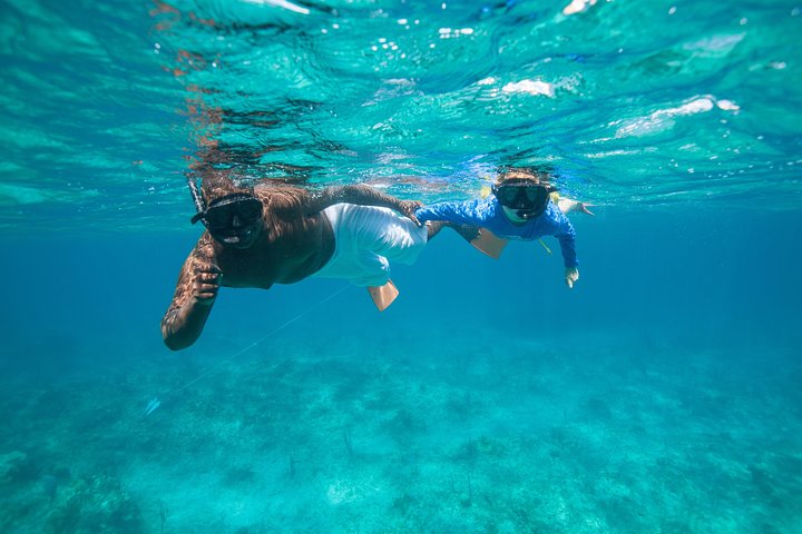 Ochtendcruise van een halve dag vanuit Providenciales met snorkelen en Iguana Island