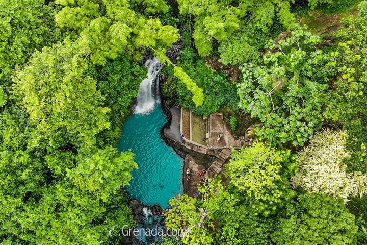 Half-Day Grenada River Tubing -Grand Etang & Annandale Falls