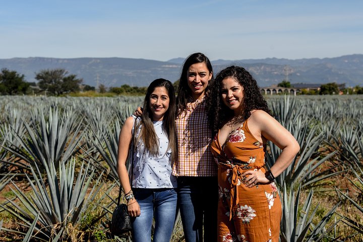 Expérience d'une journée à la tequila José Cuervo au départ de Guadalajara