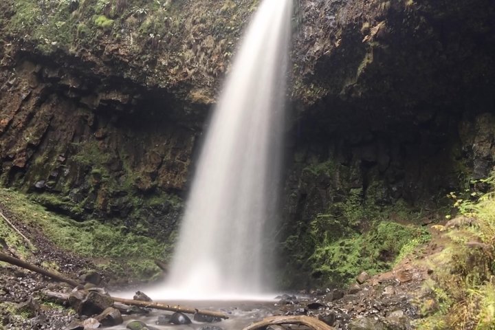 Excursión de medio día a las cataratas Multnomah y la garganta del río Columbia