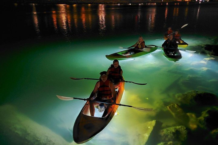 Sharkeys fisk med glasbotten matar LED Night Tour St. Pete Beach