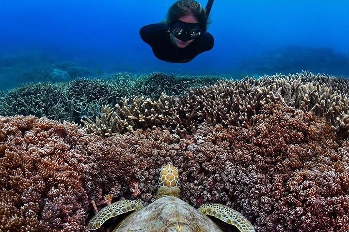 Bunaken 3 - Snorkelplek - Privétour inclusief lunch