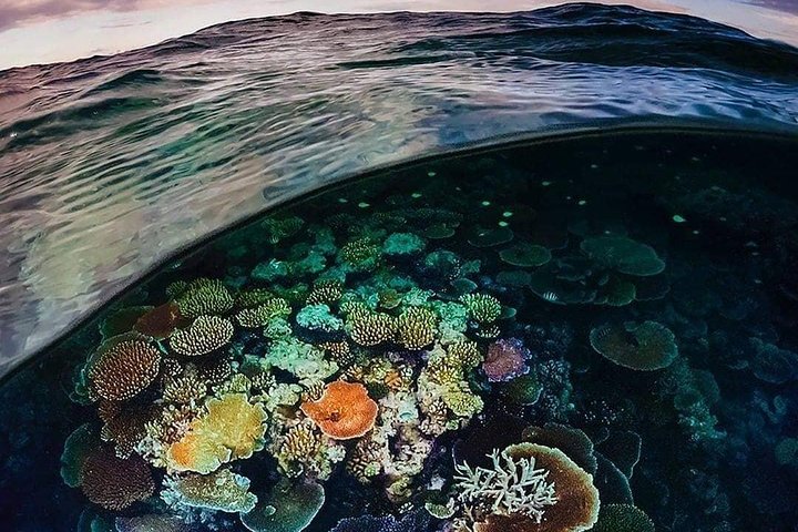 Bunaken 3 - Snorkelplek - Privétour inclusief lunch