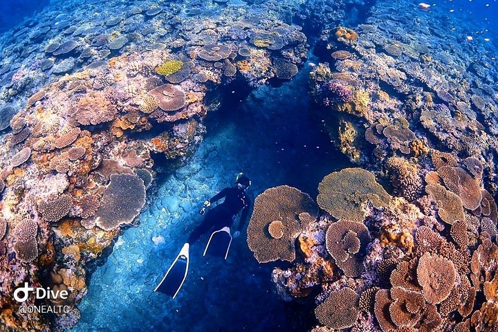 Bunaken 3 - Snorkelplek - Privétour inclusief lunch