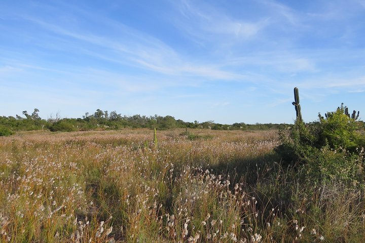 Heldags Fuglekigning og Naturture