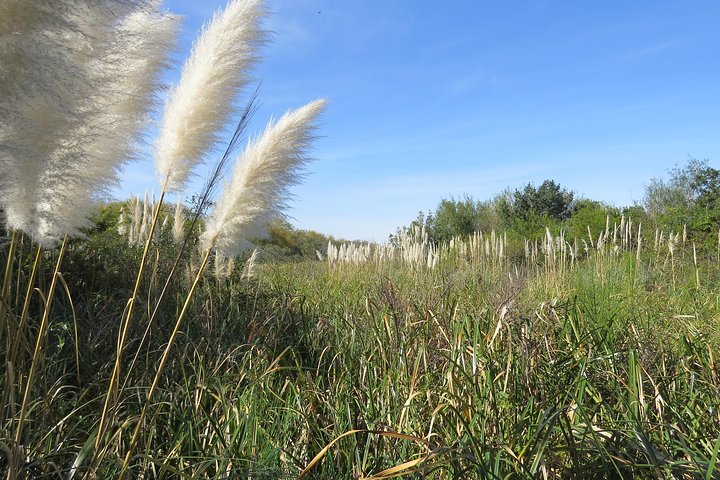 Heldags Fuglekigning og Naturture