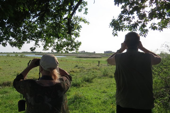 Heldags Fuglekigning og Naturture