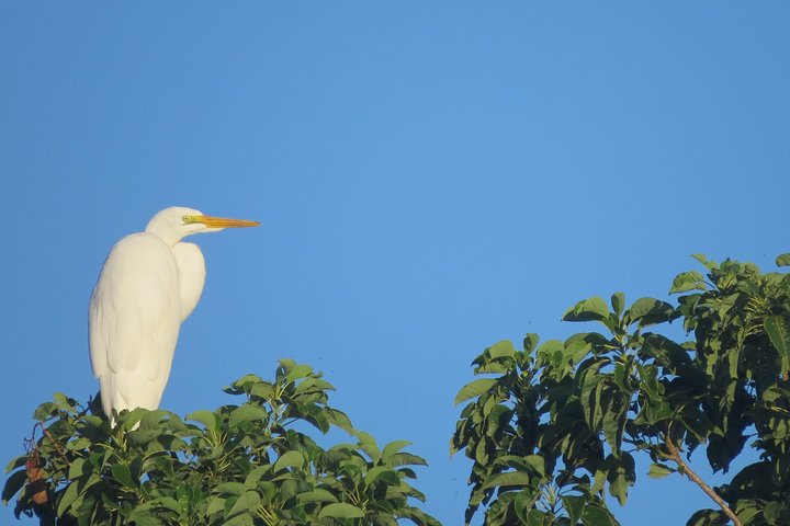 Heldags Fuglekigning og Naturture