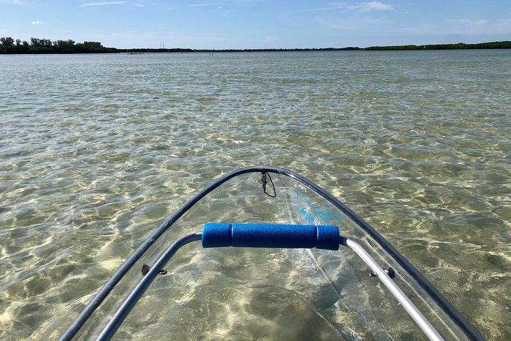 Klar kajakktur i Shell Key Preserve og Tampa Bay-området