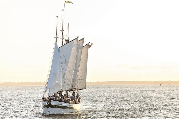 Crociera pomeridiana con i delfini in goletta nel porto di Charleston