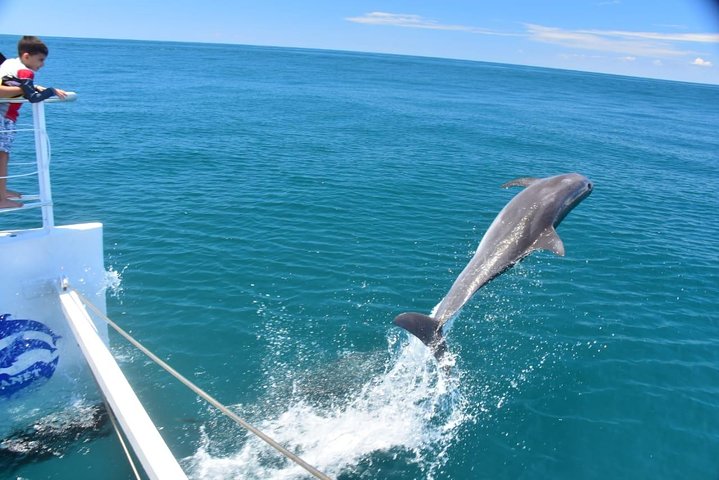 All Inclusive Catamaran Eco Adventure di Manuel Antonio